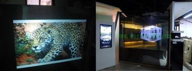 Transparent Rear Holographic Projection Film 3d Screen For Window Display